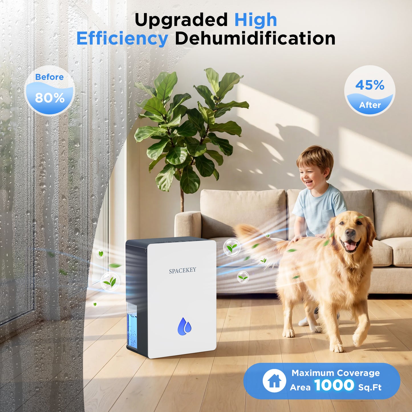 Dehumidifiers for Home, 95 OZ Water Tank Dehumidifier with Drain Hose, 1000 Sq.Ft