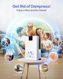 Spacekey 1000 sq. ft. 95 OZ Water Tank Dehumidifiers for Home