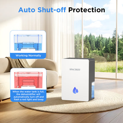 Dehumidifiers for Home, 95 OZ Water Tank Dehumidifier with Drain Hose, 1000 Sq.Ft